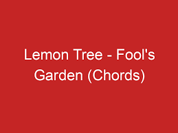 lemon tree fool s garden s