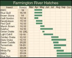 Hatch Chart Salmon Flies Fly Fishing Manistee River