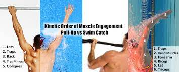 can dryland build swim catch muscles