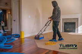 carpet cleaning in maple valley wa