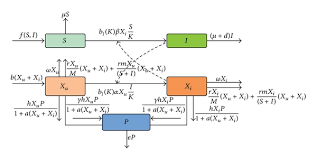 Flow Chart Of The Host Vector Predator Model Download