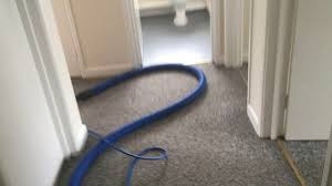 professional carpet cleaning in poole