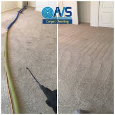 pet odor removal san go avs carpet