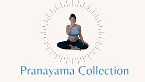 5 key yoga anatomy insights on bandhas