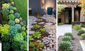amazing low water landscaping ideas you