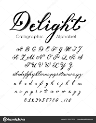 vector elegant font and alphabet set