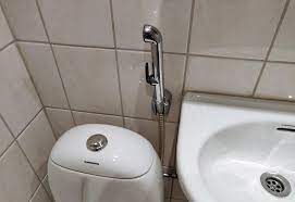 Comment utiliser des WC sans papier toilette, avec juste de l'eau pour se  nettoyer