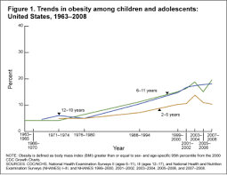 Adolescent Obesity Pediatrics Clerkship The University