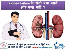 Kidney Failure Diet Chart In Hindi Www Bedowntowndaytona Com