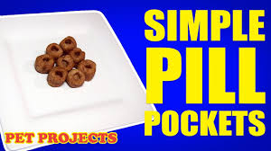 pill pockets in 5 minutes easy diy