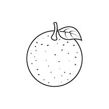 black and white drawing of a orange