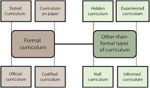 hidden curriculum and anatomy education