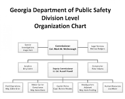 Georgia State Organizational Chart Related Keywords