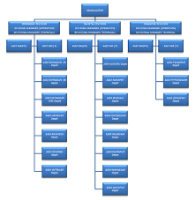 Organigation Structure Organigation Structure