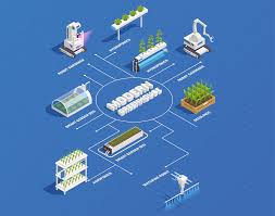 controlled environment agriculture