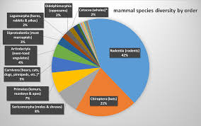 Fig 6 5 Pie Chart Of Extant Mammal Species By Order Orders