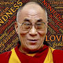 dalai lama meditation quotes from wildwoodmedicine.com