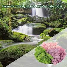 9 oz preserved moss natural live moss