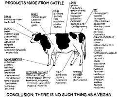Livestock Products And Terminology Lessons Tes Teach
