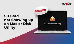 sd card not showing up on mac or disk