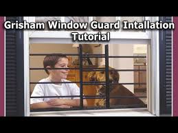 Grisham Pivoting Window Guard