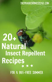 20 homemade insect repellent recipes