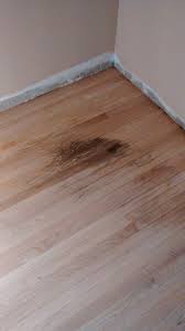 pet stains on hardwood flooring