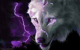 cool abstract wolf hd wallpaper