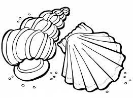 You want to see all of these nature & seasons, seas and oceans coloring pages, please click here! Free Printable Seashell Coloring Pages For Kids Ocean Coloring Pages Shell Coloring Pages Seashell Coloring Pages
