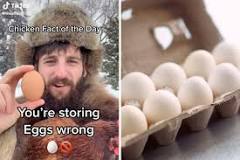 Why do you store eggs pointy end down?