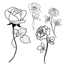 rose sketch vector art icons and
