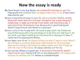 Essay on My Pet Dog for All Class in English