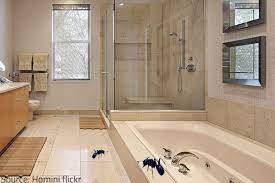 How To Detect Mold In Your Bathroom