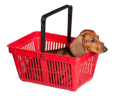 Image result for photo of dog shopping