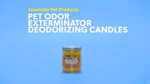 People interested in pet odor enzyme walmart also searched for. Pet Odor Exterminator Creamy Vanilla Deodorizing Candle 13 Oz Jar Chewy Com