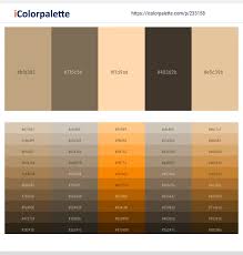 color schemes with caramel color tone