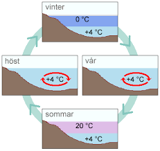 Bildresultat för vatten densitet temperatur tabell