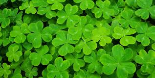 Patrick's day, also spelled saint patrick's day and sometimes colloquial referred to as st. St Patrick S Day Facts History About St Patrick S Day