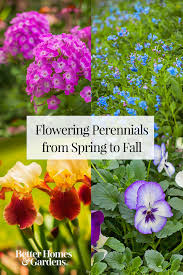 Flowers that bloom all summer. 16 Flowering Perennials That Will Add Color To Your Garden From Spring To Fall Flowers Perennials Blooming Flowers Perennials