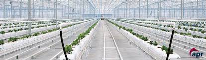 hydroponic greenhouses design