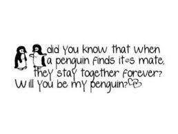 A group of penguins is called a colony, according to the u.s. Penguins Love Penguin Quotes Quotes Love Quotes
