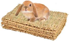 rabbit bunny chew toys woven bed mat