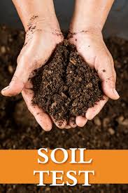 testing soil composition