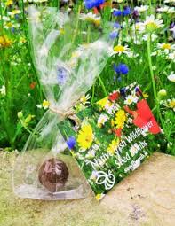 5 Wildflower Seed Gift Favours Free
