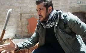 tiger zinda hai salman khan are in no