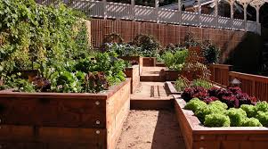 How To Set Up Raised Beds For Gardening