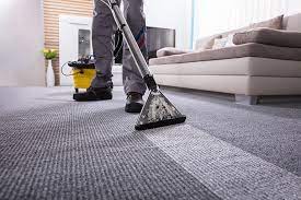 how to steam clean a carpet home plus