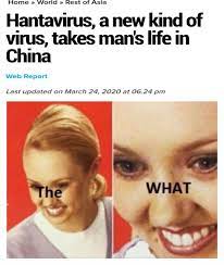Should be named hentaivirus : r/PewdiepieSubmissions