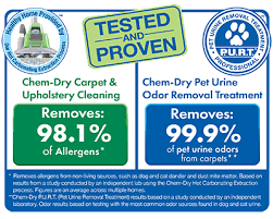 chem dry cleans for your healthy in