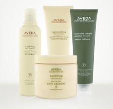 Buy aveda hair care and get deep discounts. 17 Aveda Skin Care Ideas Aveda Aveda Skin Care Skin Care